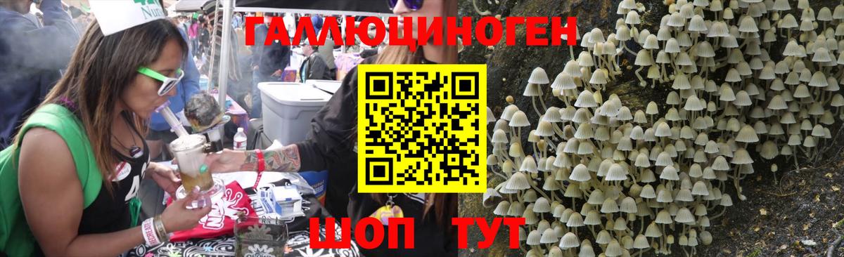Галлюциногенные грибы Magic Shrooms  Вход с VPN  где найти наркотики  Коряжма 