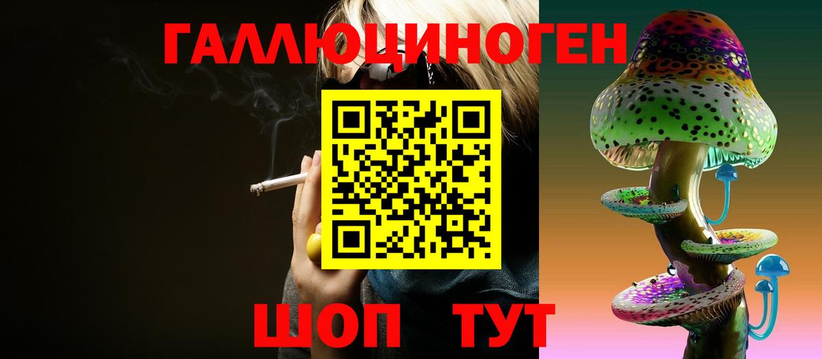 Псилоцибиновые грибы Psilocybine cubensis Коряжма